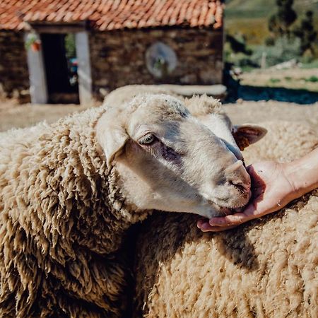 Quinta Dos Avos Lourenco Sertã Eksteriør bilde